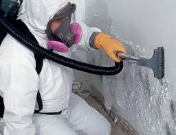 Best Attic Mold Removal  in Florence, CO